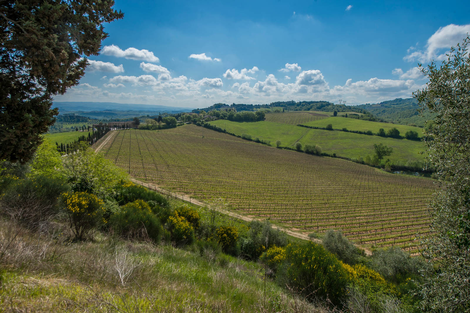 Villen und Landhäuser zu verkaufen, Haus auf dem Land in der Toskana und in Umbrien